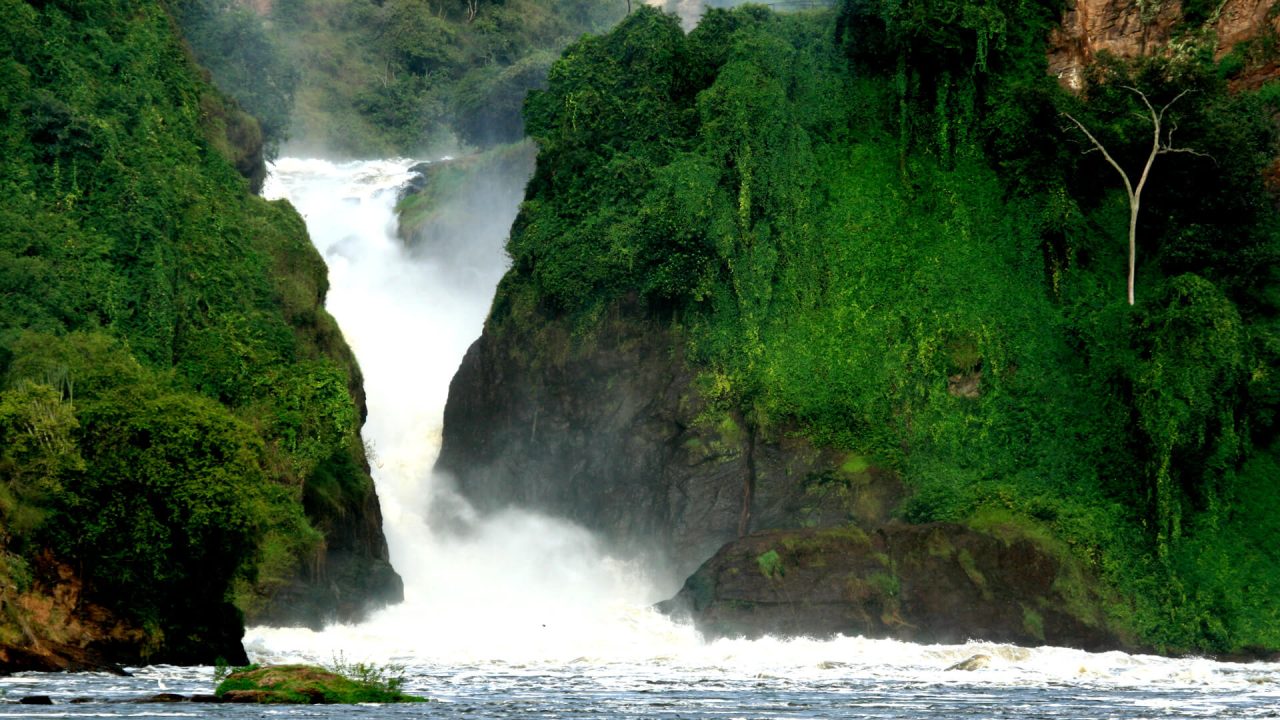 iconic-uganda