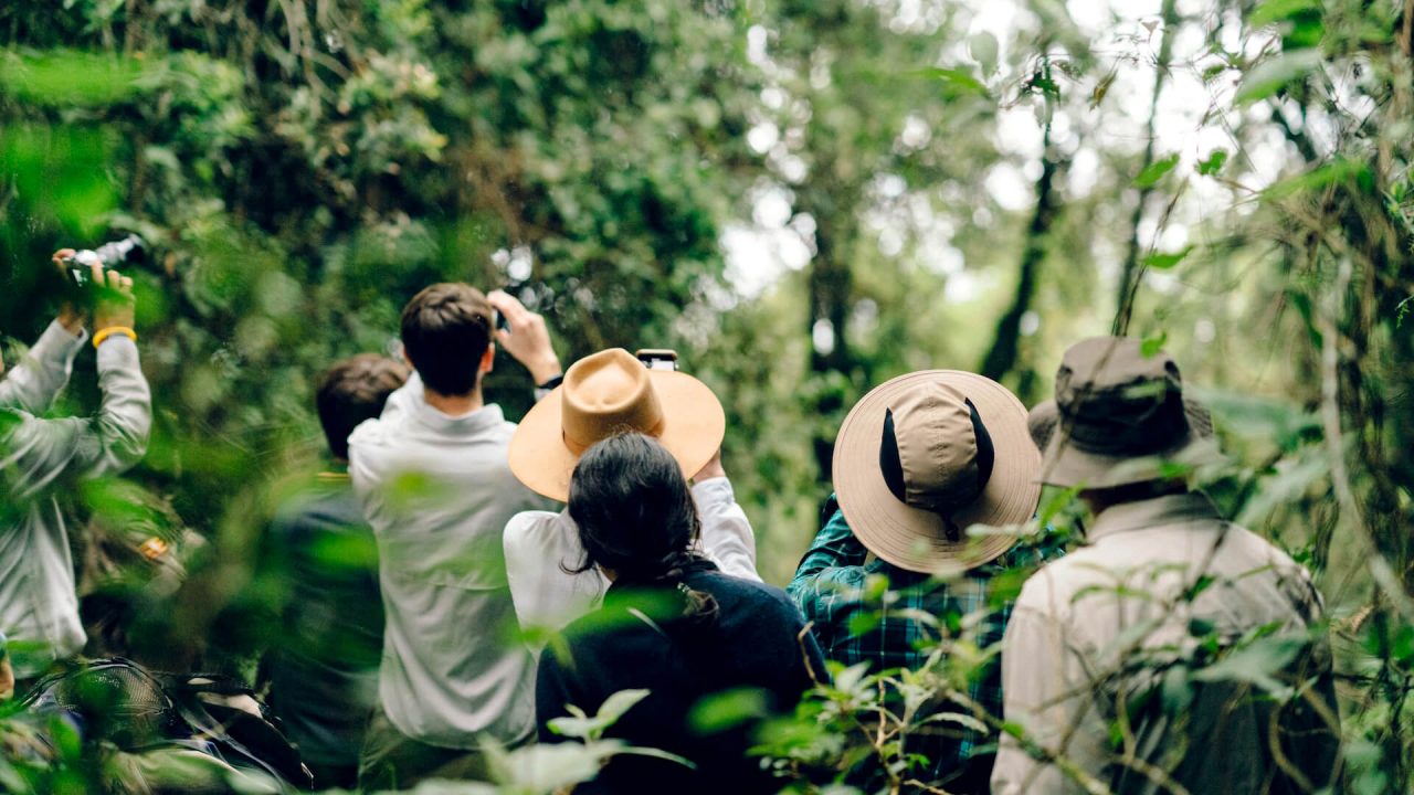 trekking-gorillas-uganda