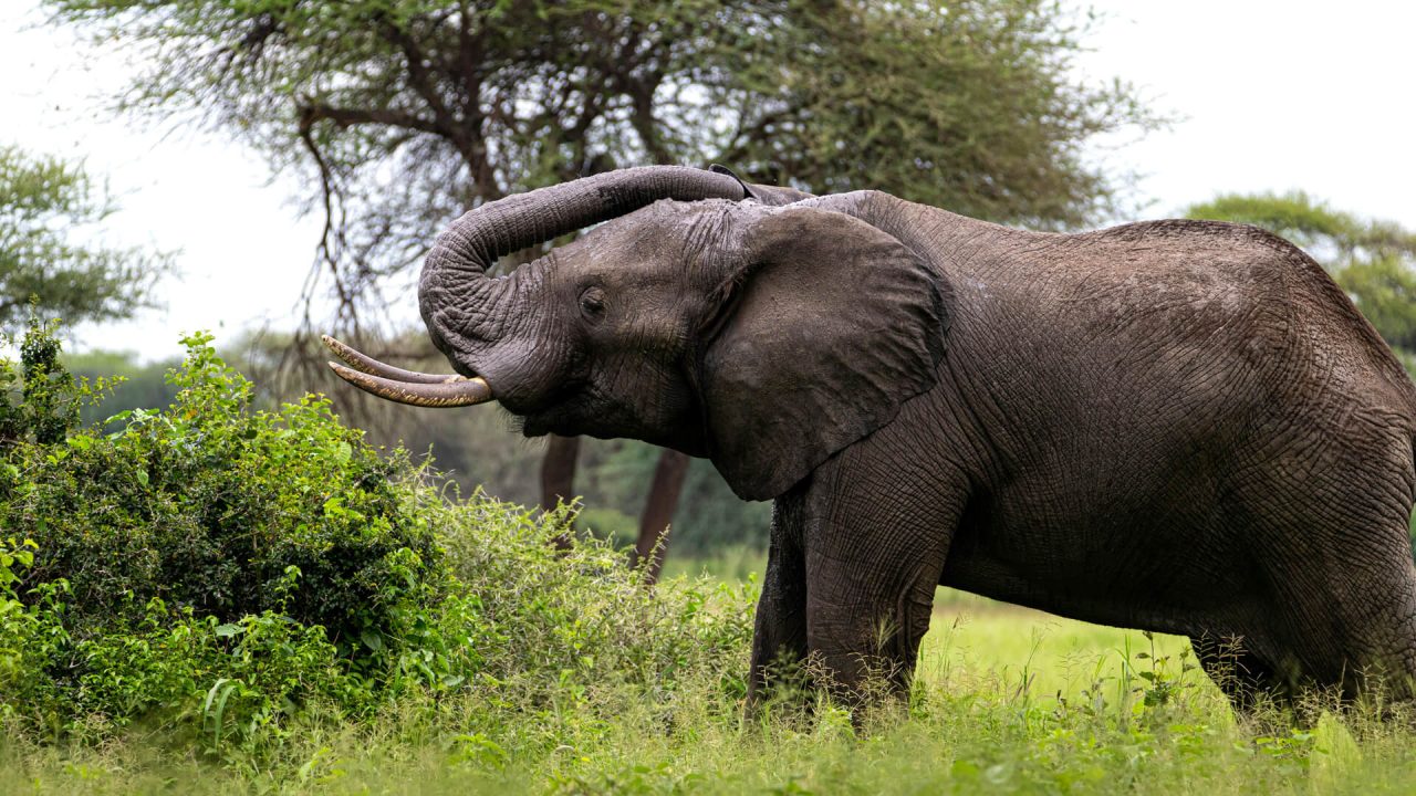 wonders-uganda
