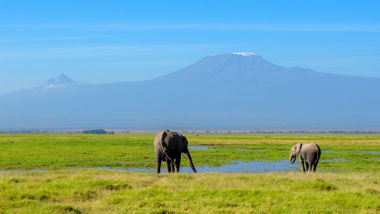 amboseli-1
